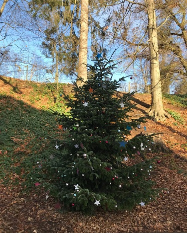 Weihnachtsbaum 2